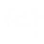 Arm & Hammer