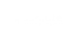 Absolute Nutrition