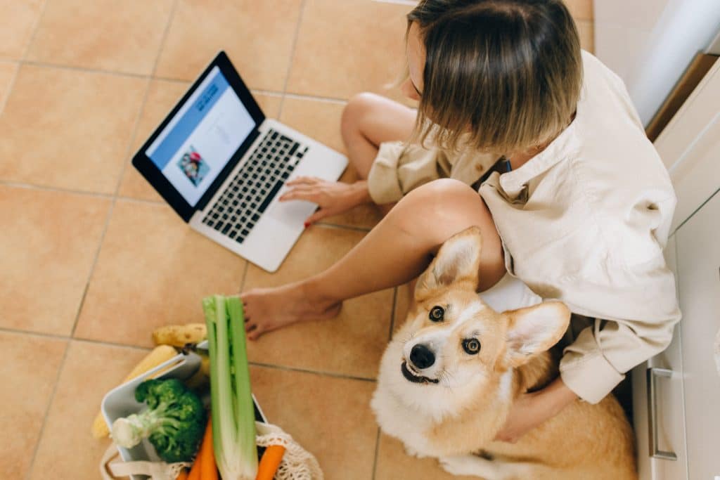 woman on the computer with a dog